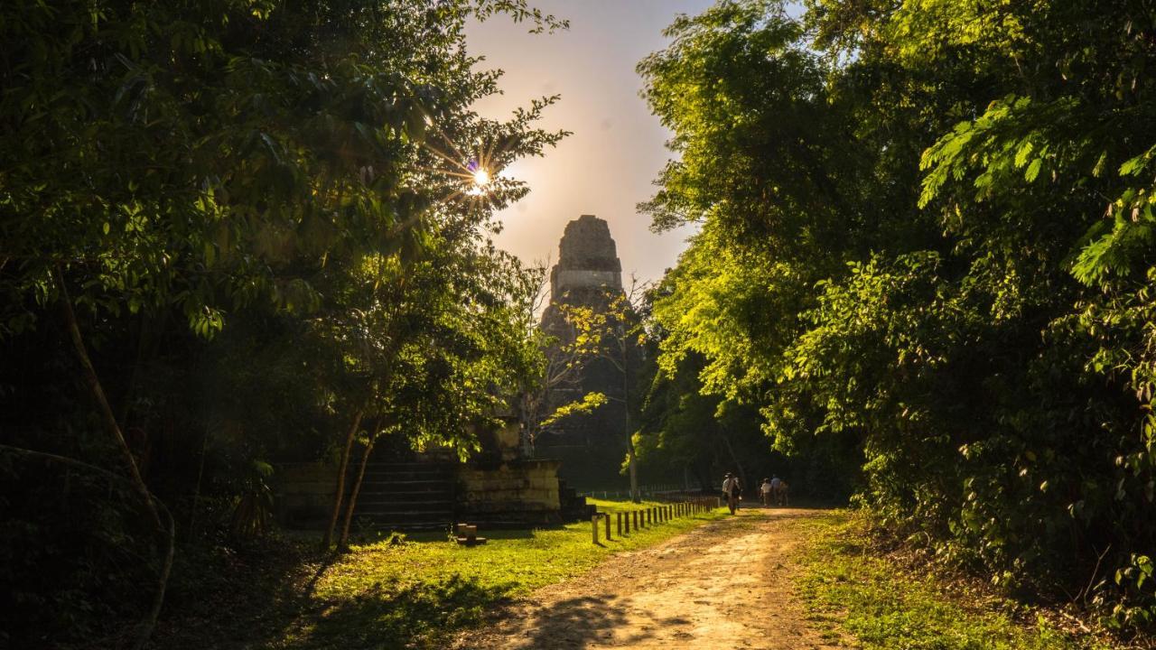 Hotel Jungle Lodge ตีกัล ภายนอก รูปภาพ