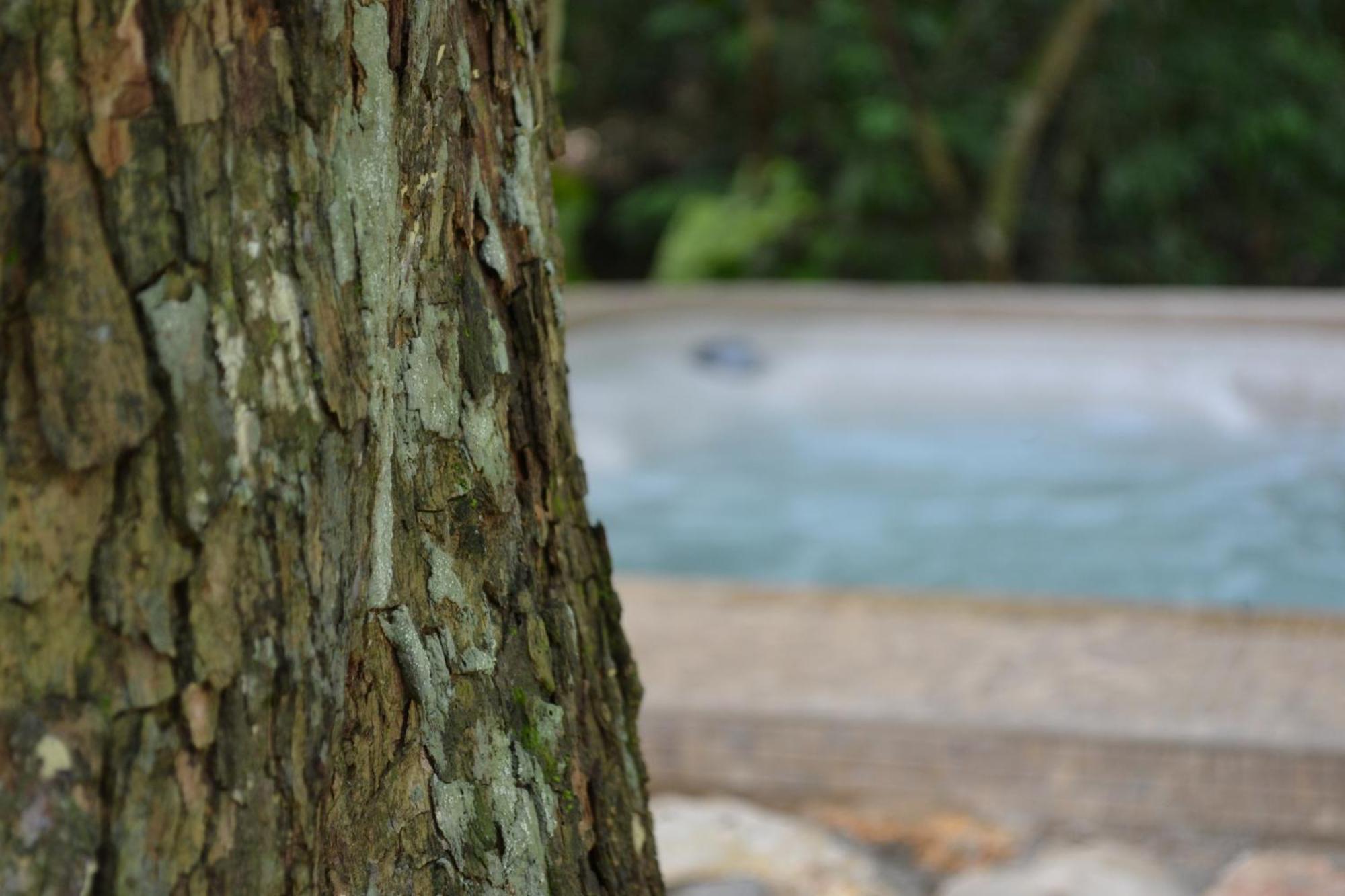 Hotel Jungle Lodge ตีกัล ห้อง รูปภาพ