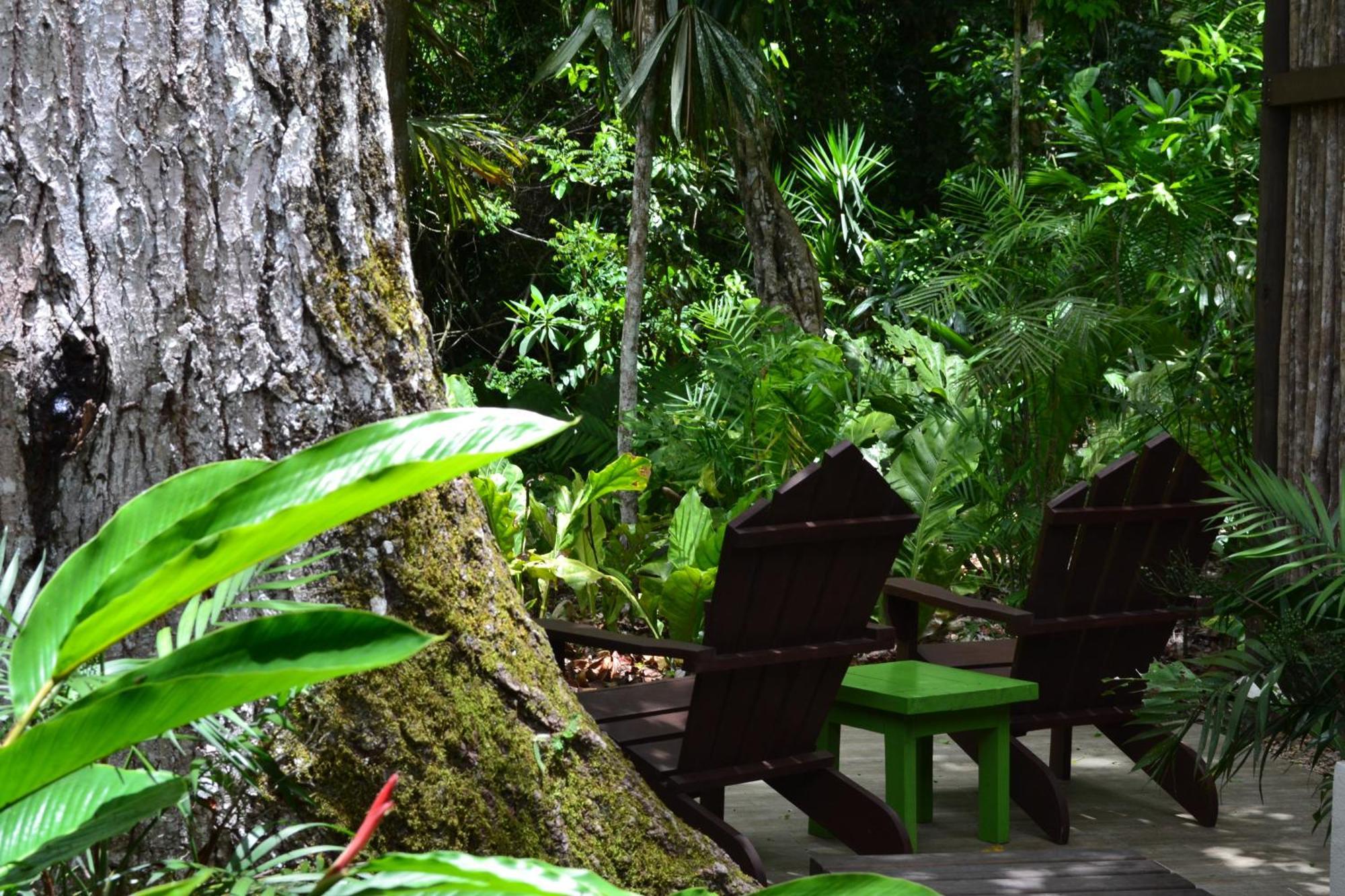 Hotel Jungle Lodge ตีกัล ห้อง รูปภาพ