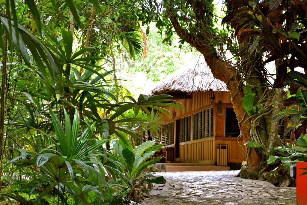 Hotel Jungle Lodge ตีกัล ภายนอก รูปภาพ