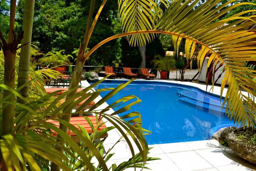 Hotel Jungle Lodge ตีกัล ภายนอก รูปภาพ