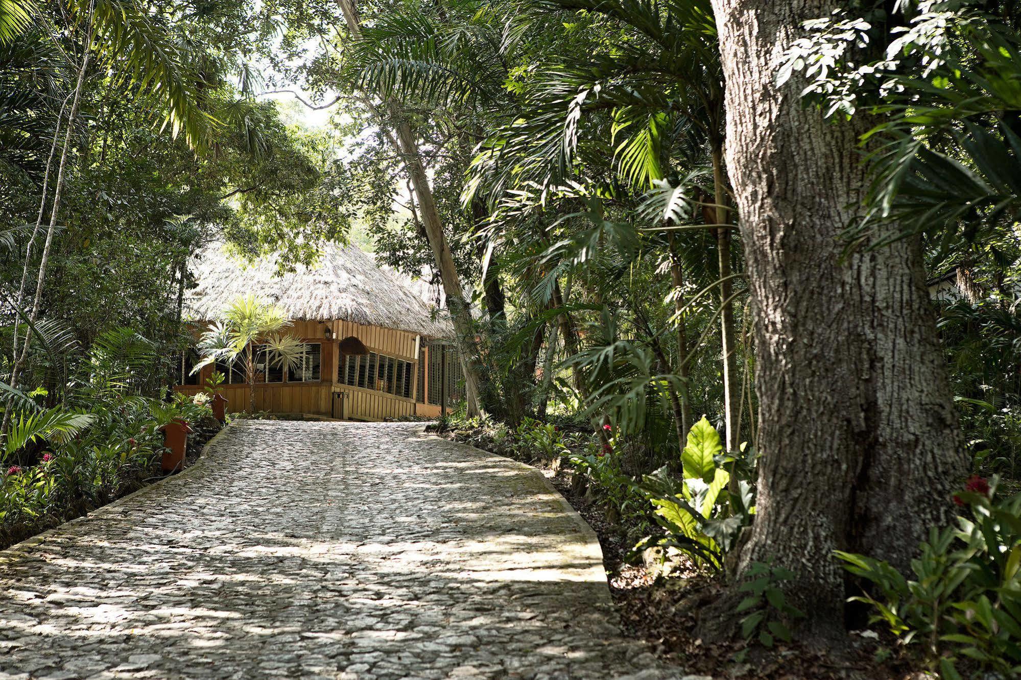 Hotel Jungle Lodge ตีกัล ภายนอก รูปภาพ